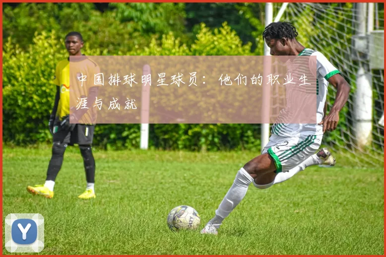 中国排球明星球员:他们的职业生涯与成就
